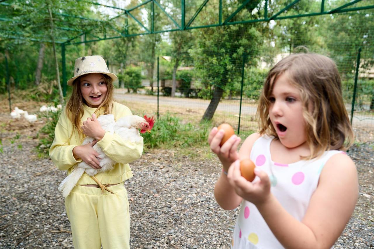 Camping Campo Dei Fiori Vada Ngoại thất bức ảnh